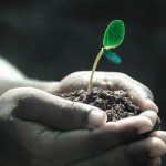 growbox