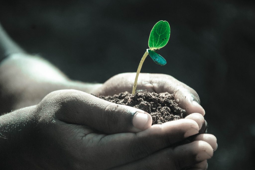 Growbox zestaw dla amatorów i zaawansowanych użytkowników
